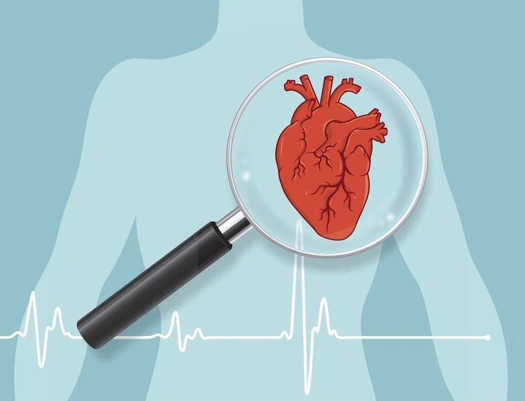 اثرات ال کارنیتین بر سلامت قلب